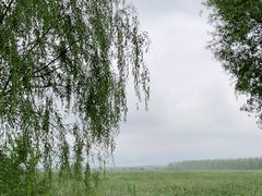 -野鸭湖国家湿地公园