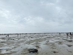 -北海金海湾红树林生态旅游区