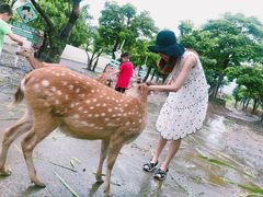 -鹿境梅花鹿生态园区