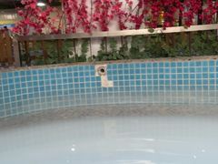 -兴芮温泉度假区