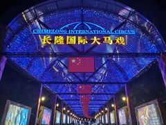 -广州长隆国际大马戏