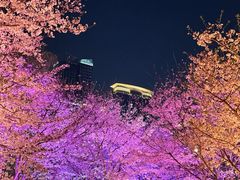 -西北湖绿化广场