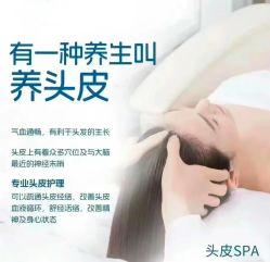 -木北造型