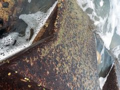 -白沙门生态公园