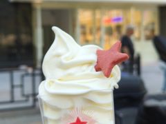 -红星前进面包牛奶公司(畅春园店)