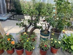 -美家乐农庄·露营·团建(大治路店)