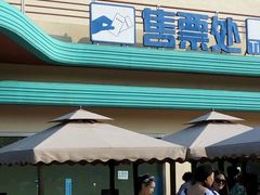 -秦皇岛乐岛海洋王国