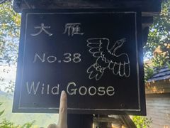 -三亚亚龙湾人间天堂鸟巢度假村