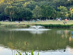 -牛岗山公园