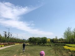 -洨河生态公园