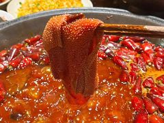 -蜀大侠火锅(春熙路店)