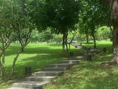 -广州市白云山风景名胜区