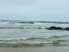 -日照海滨国家森林公园
