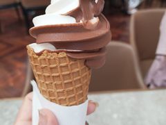 双球冰激凌-布歌东京(金融街购物中心店)