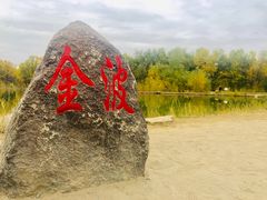 -金塔沙漠胡杨林景区