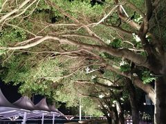 -闽江夜游台江旅游码头