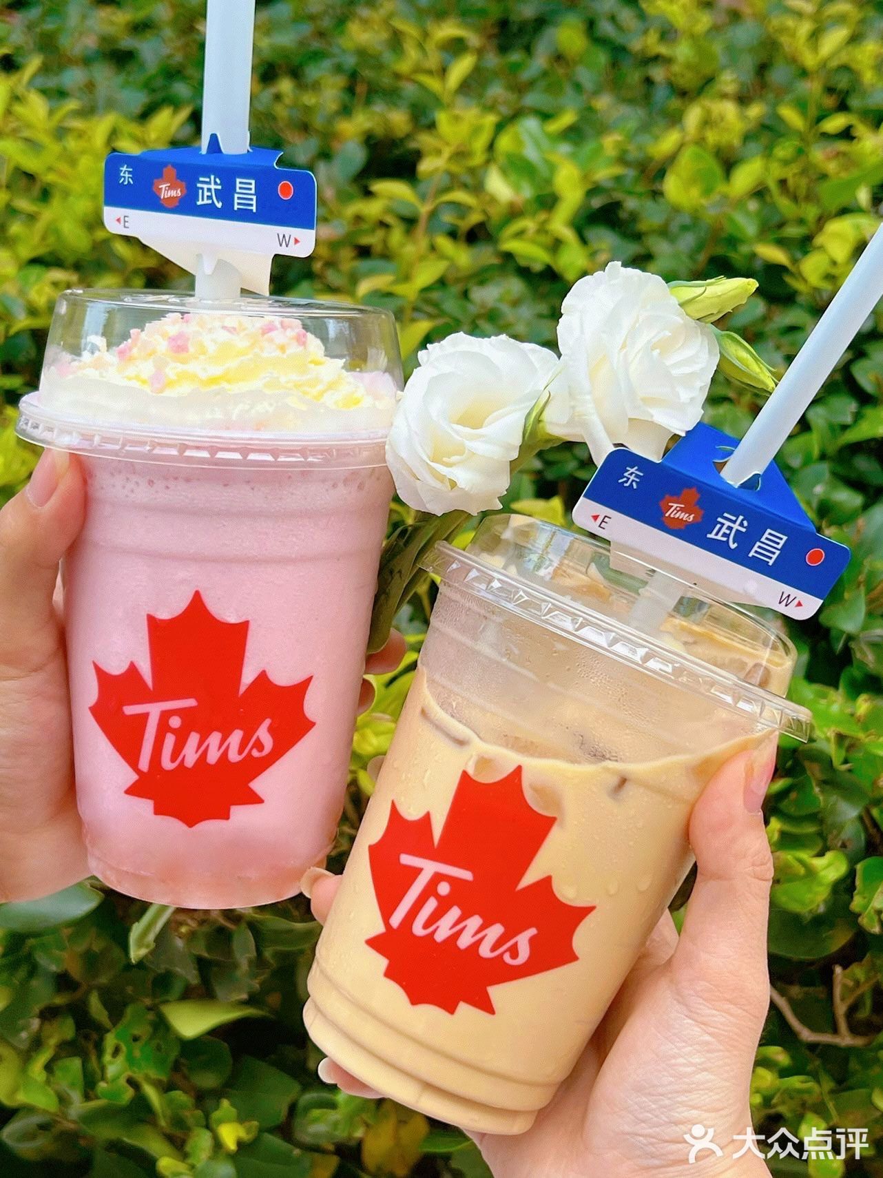 我也不想天天喝咖啡呀～可它是Tims呀