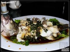 -宝轩渔府·老字号海鲜·正宗津菜(水上店)