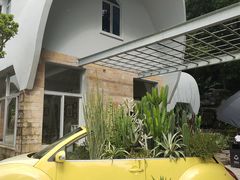 -深圳仙湖植物园