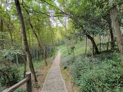 -上海佘山国家森林公园天马山园