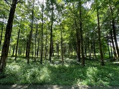 -杭州西溪喜来登度假大酒店