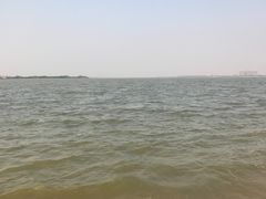 -瑶湖郊野森林公园