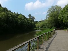-新江湾城公园