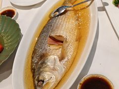 -悦泰环球美食自助(金茂旗舰店)