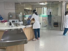 -谐和贝康宠物医院24小时·宠保定点(急重症转诊中心)