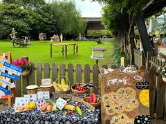 -硅谷蒙学幼儿园