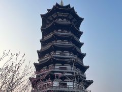 -洋湖国家湿地公园