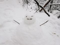 -九尺赵老四鲜鹅肠火锅