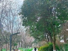 -沙市市中山公园