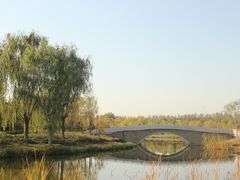 -东郊湿地公园