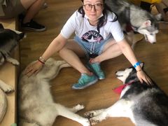 -Husky Go! 哈士奇体验馆·宠物咖啡厅狗咖