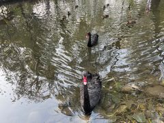 -北京麋鹿生态实验中心