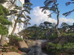 -罗红摄影艺术馆