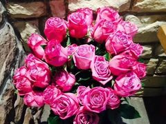 -BEAST野兽派(上海浦东嘉里城店)