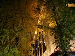 -四川大学(华西校区)