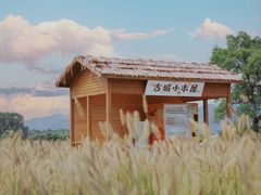 -良渚古城遗址公园