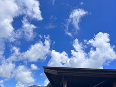-三亚亚龙湾人间天堂鸟巢度假村