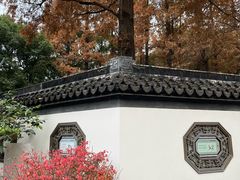 -上海醉白池公园