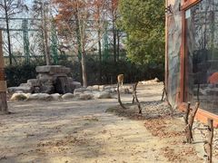 -上海野生动物园老虎餐厅