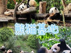 -成都大熊猫繁育研究基地