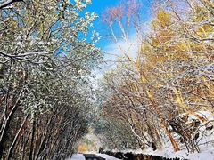 -白草畔自然风景区