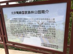 -北京鹫峰国家森林公园