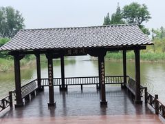 -黄海国家森林公园