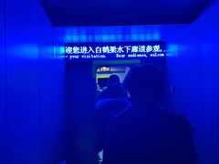 -白鹤梁水下博物馆
