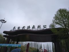 -黄海国家森林公园