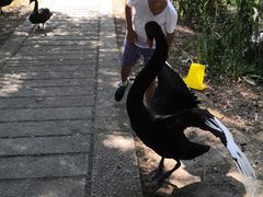 -长兴太湖图影湿地文化园